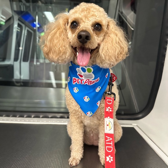 Meet your Posher, Samantha! - Picture 11 of 12